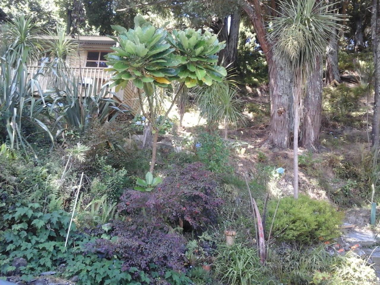 Kauri Nest Bed & Breakfast Whangarei Exterior photo