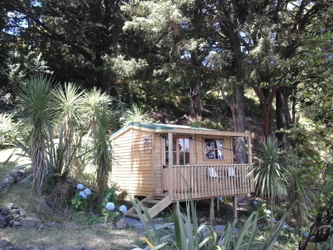 Kauri Nest Bed & Breakfast Whangarei Exterior photo